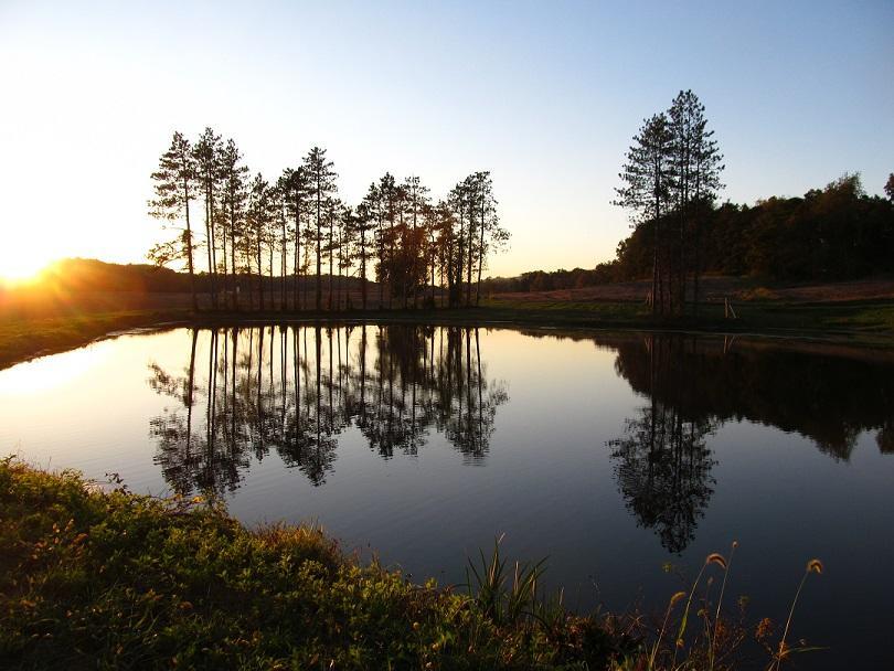 Hi - Malabar Farm HostelLucas エクステリア 写真